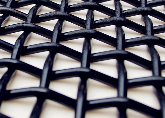 Il doppio pre ha galvanizzato il cavo unito Mesh Fence Using 6mm