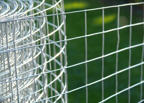 cavo Mesh Fence di acciaio inossidabile 304 316/nastro metallico di 0.5m-3M Mesh Roll