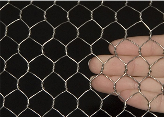 cavo di pollo di 0.5-2m Mesh Netting, rete metallica esagonale del pollame