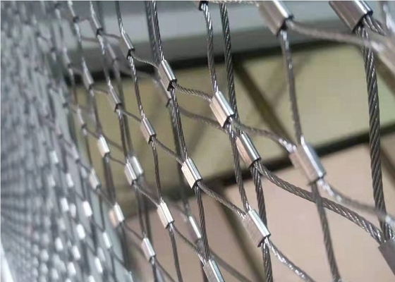 Corda d'argento Mesh For Protection Free Sample del puntale di acciaio inossidabile