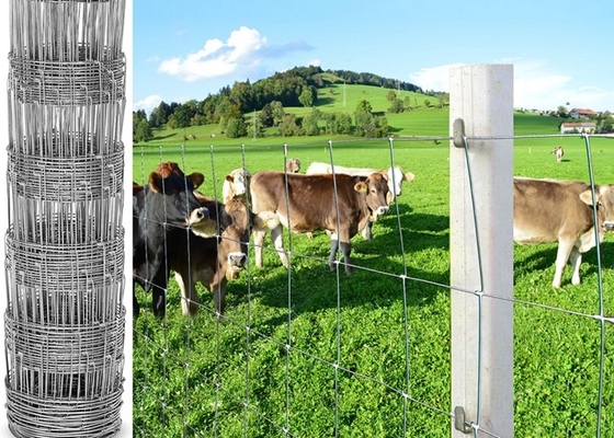 L'elettrotipia della protezione ha galvanizzato il bestiame d'acciaio il recinto, recinto di filo metallico del pascolo/dei cervi